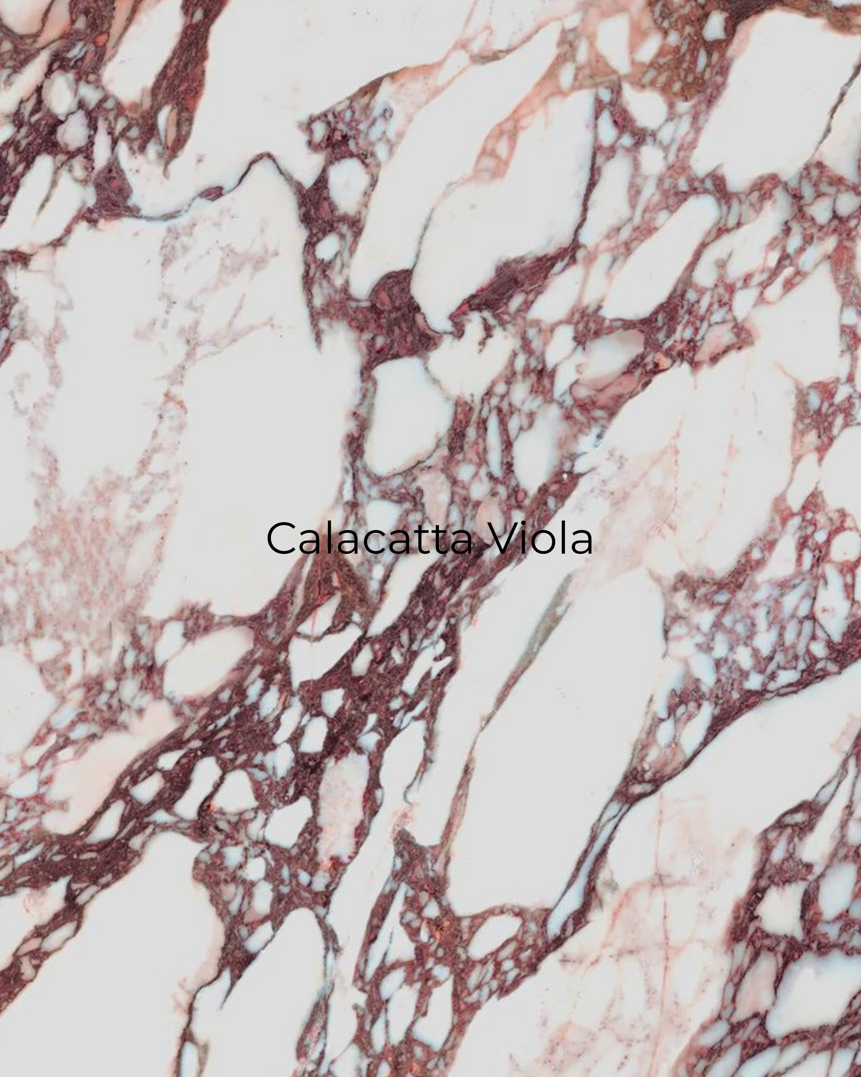 Calacatta Viola