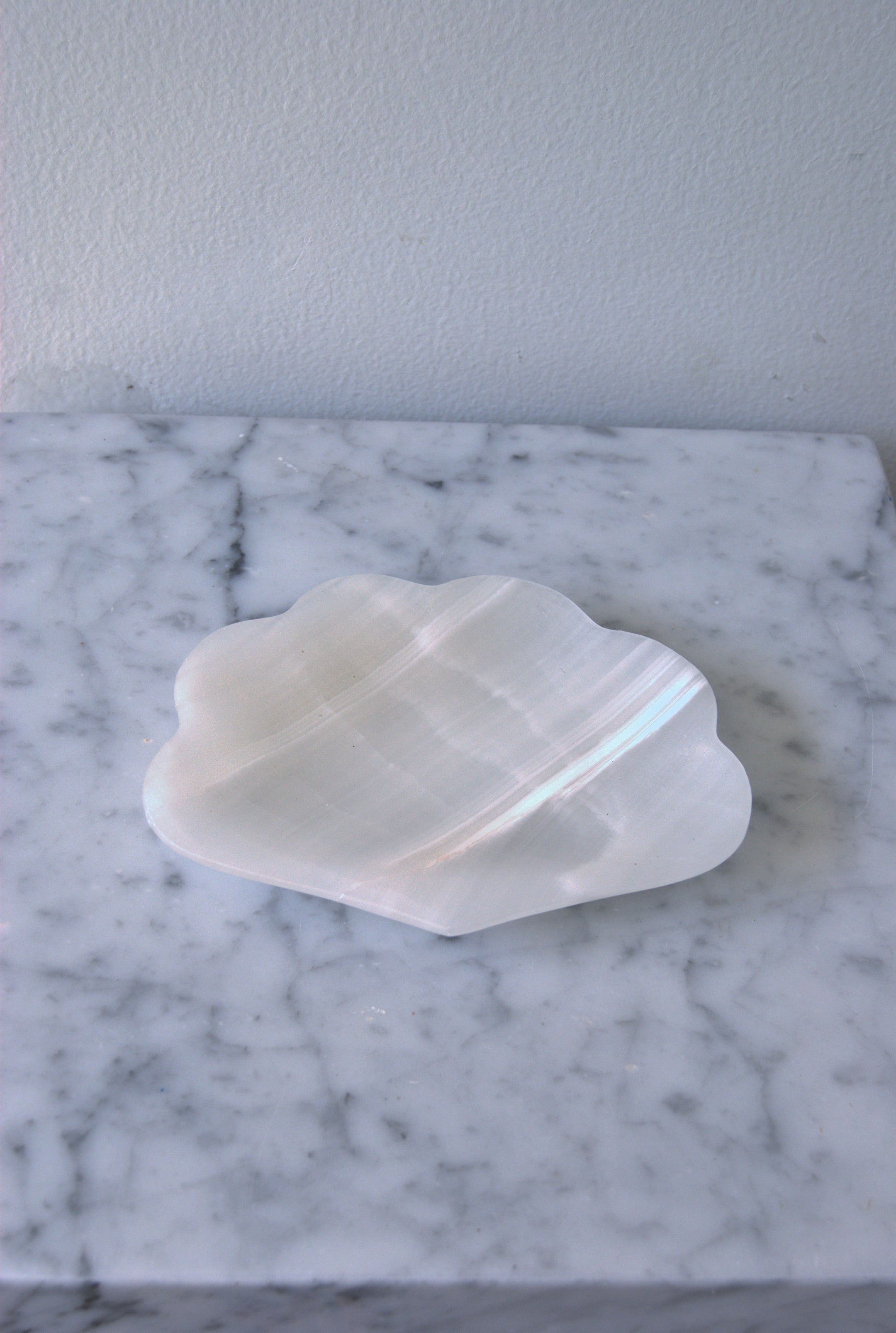 Concha Tray