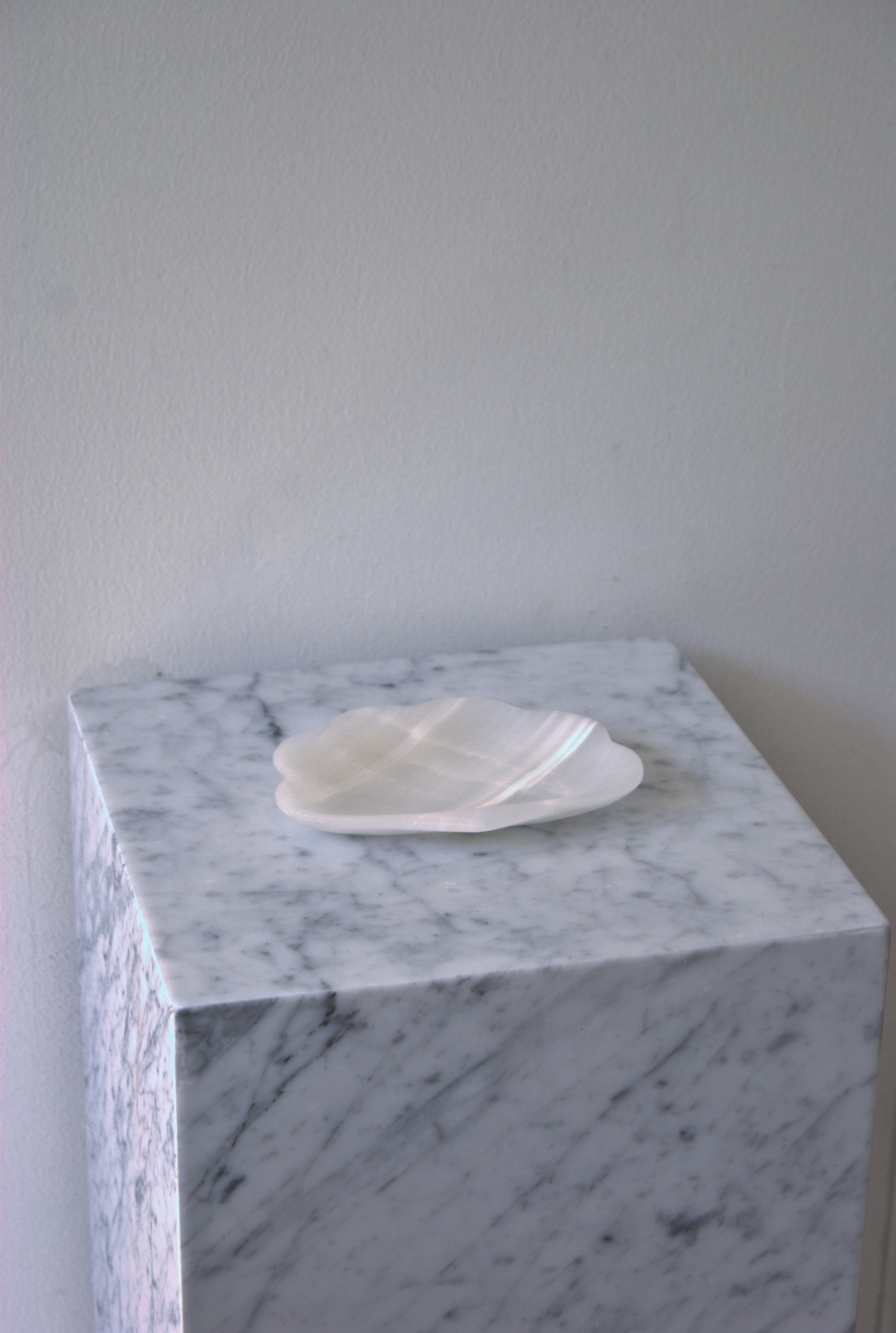 Concha Tray